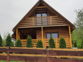 Domek z widokiem Olchowiec